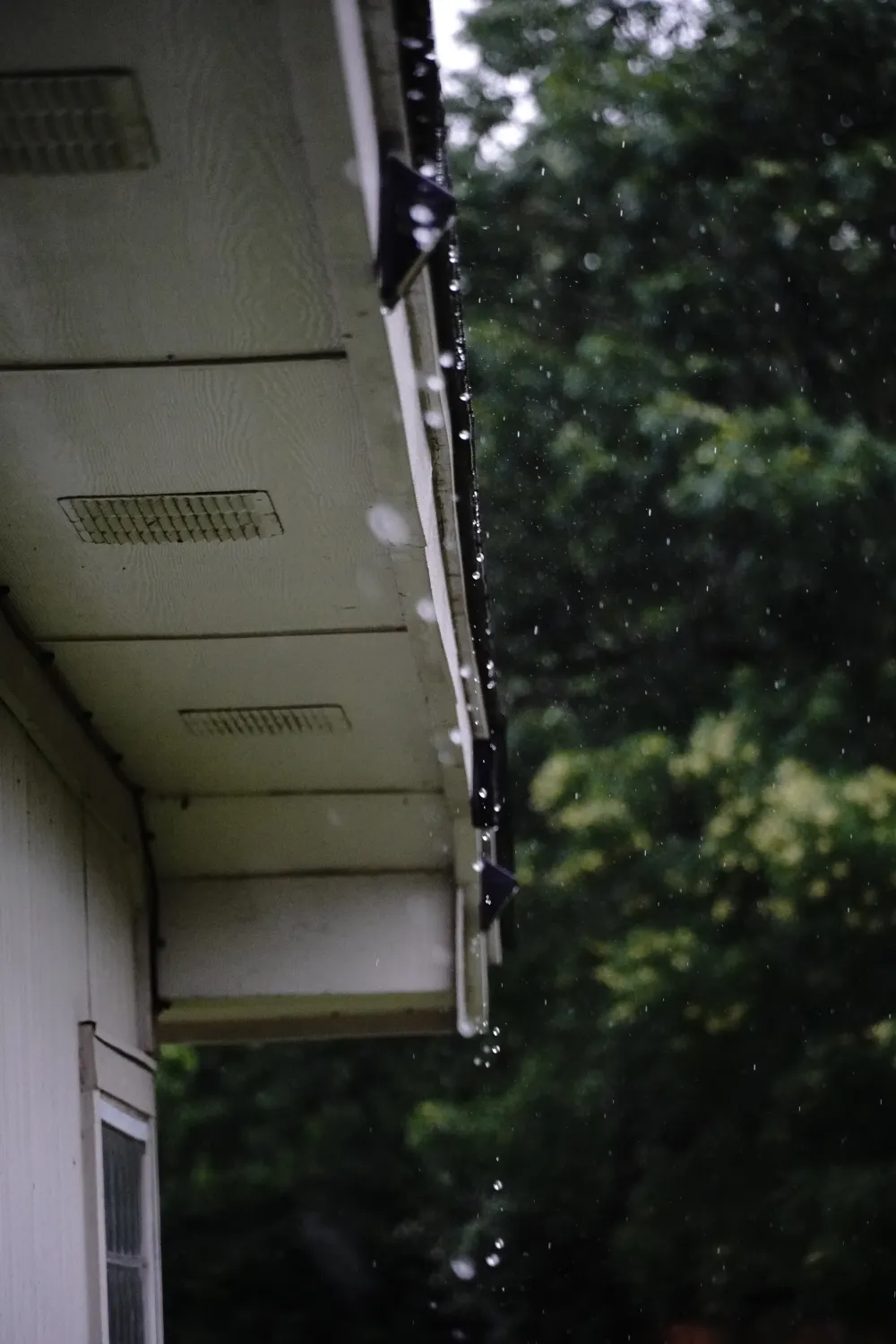 Rainwater spilling over a gutter along a white soffit, trees behind