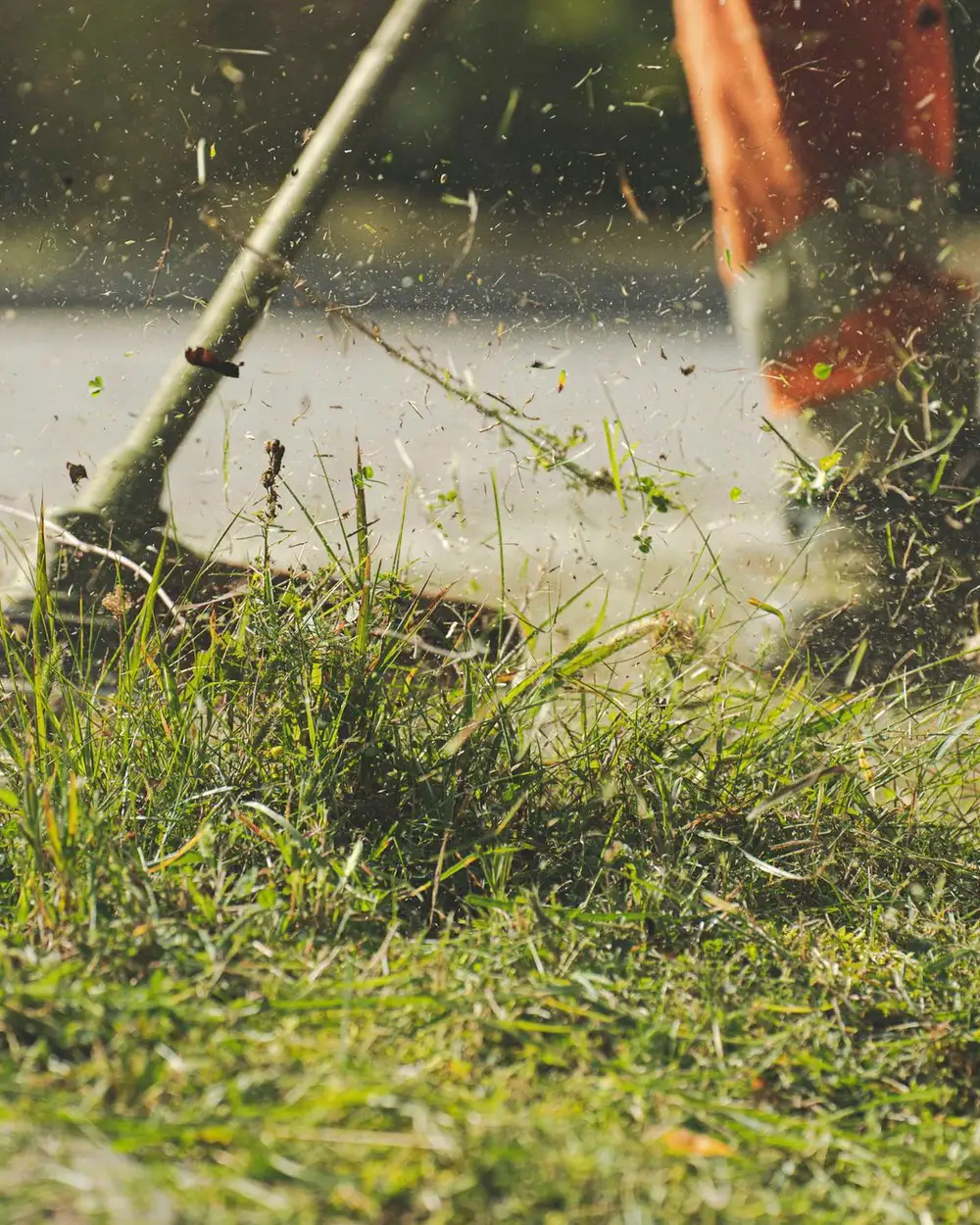 A string trimmer cutting a clean edge along the grass