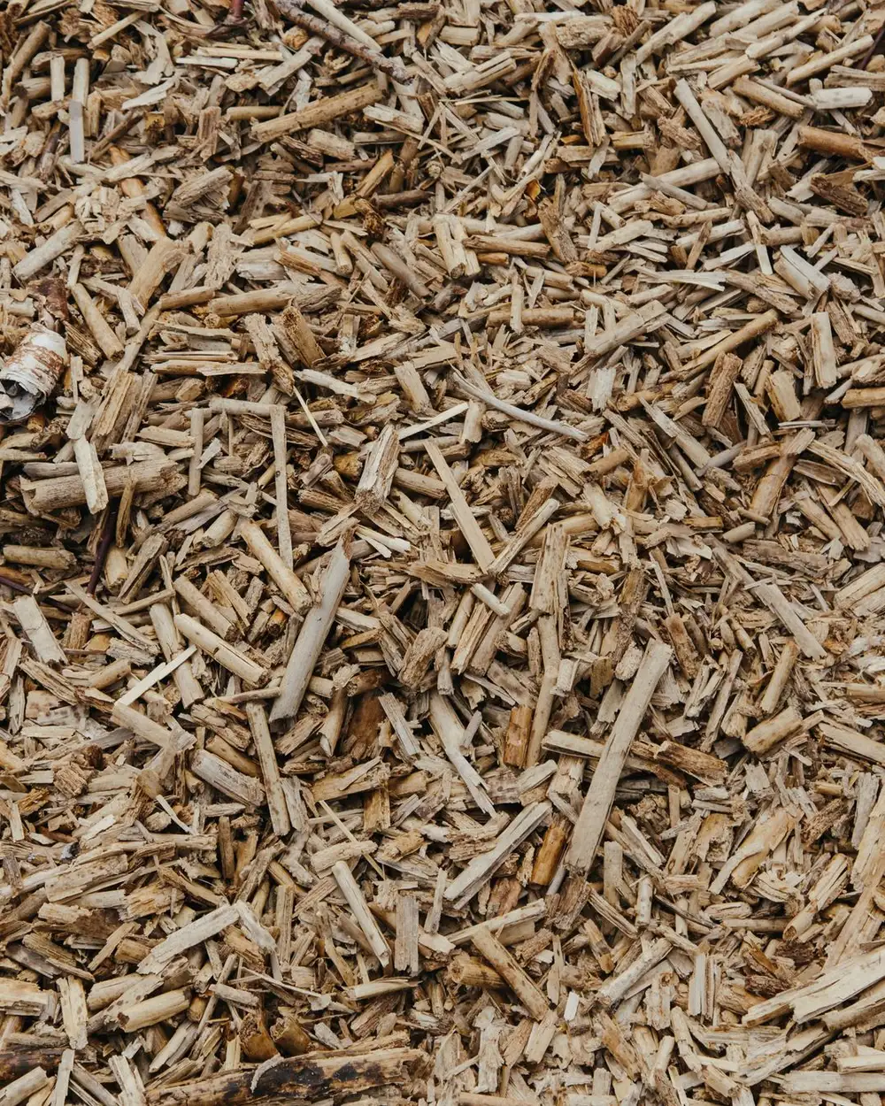 Shredded bark mulch, close up