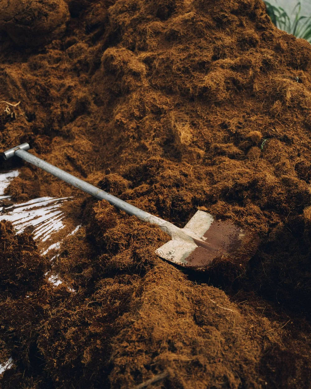 A shovel standing in a fresh pile of screened topsoil