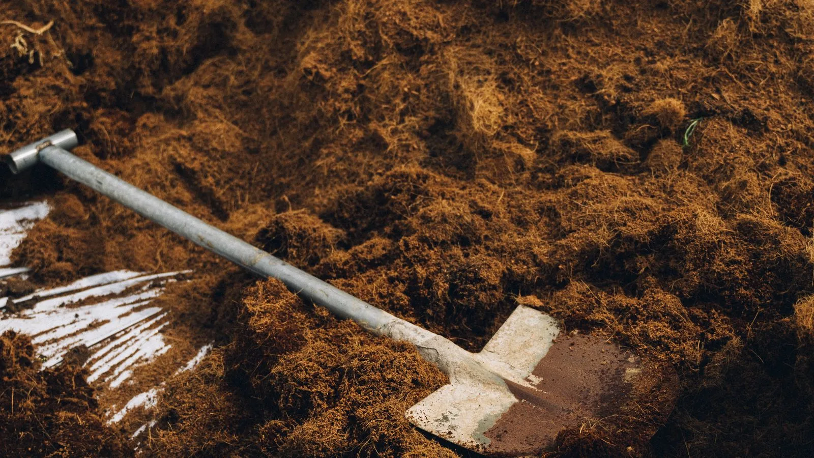 A shovel standing in a fresh pile of screened topsoil