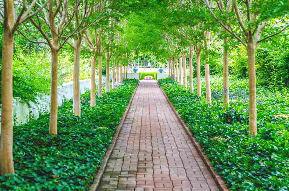 types-of-stone-for-walkways