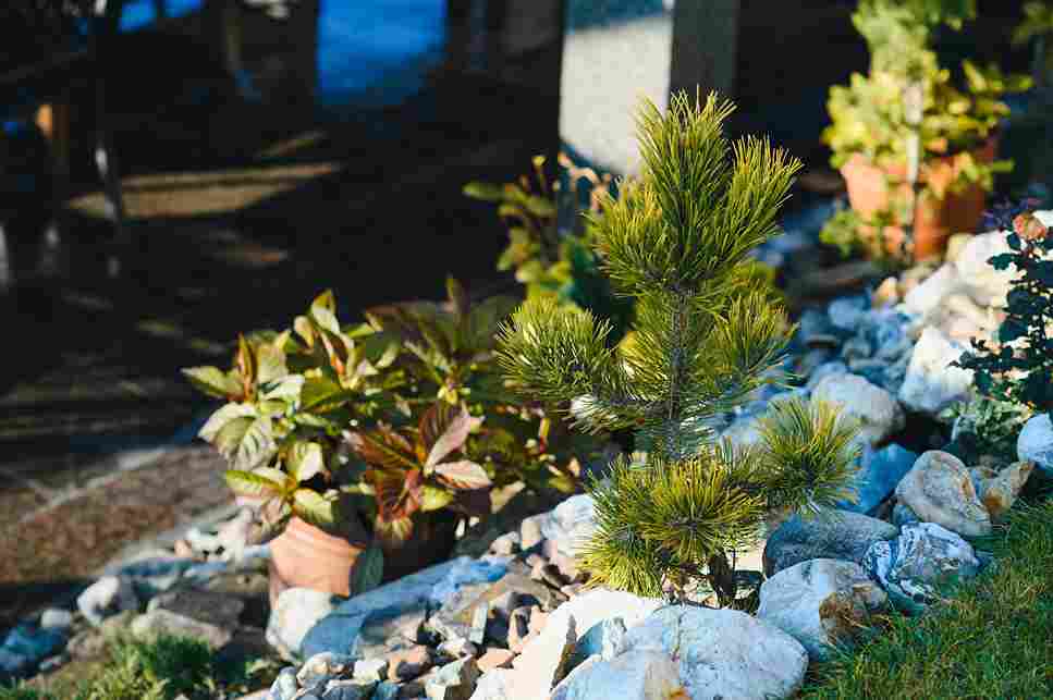 what-is-commercial-landscaping