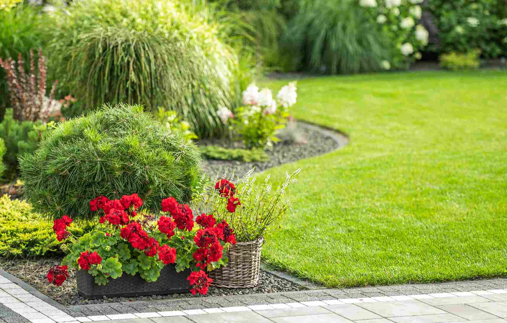 Wondering what does landscape maintenance include in Ithaca? Learn every service component, why each matters, and what a complete program looks like locally.