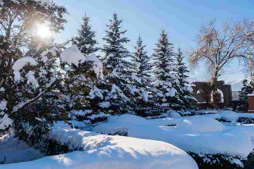 how-much-does-ice-removal-cost