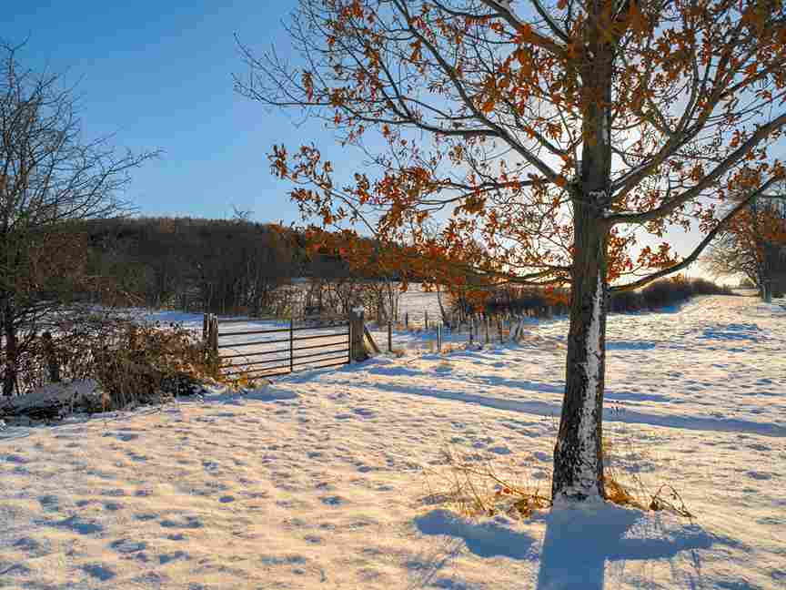 how often should you plow snow