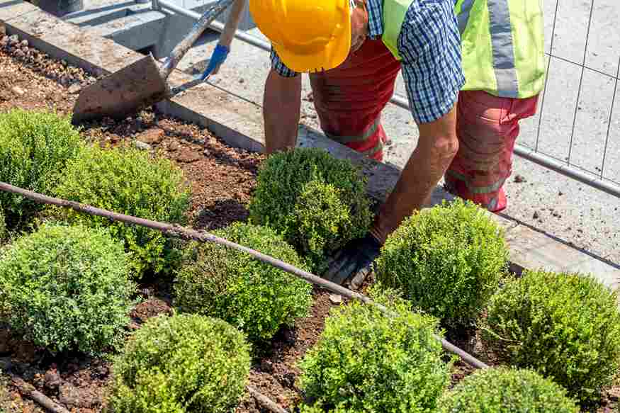Landscape Maintenance Is More Than Keeping Things Tidy