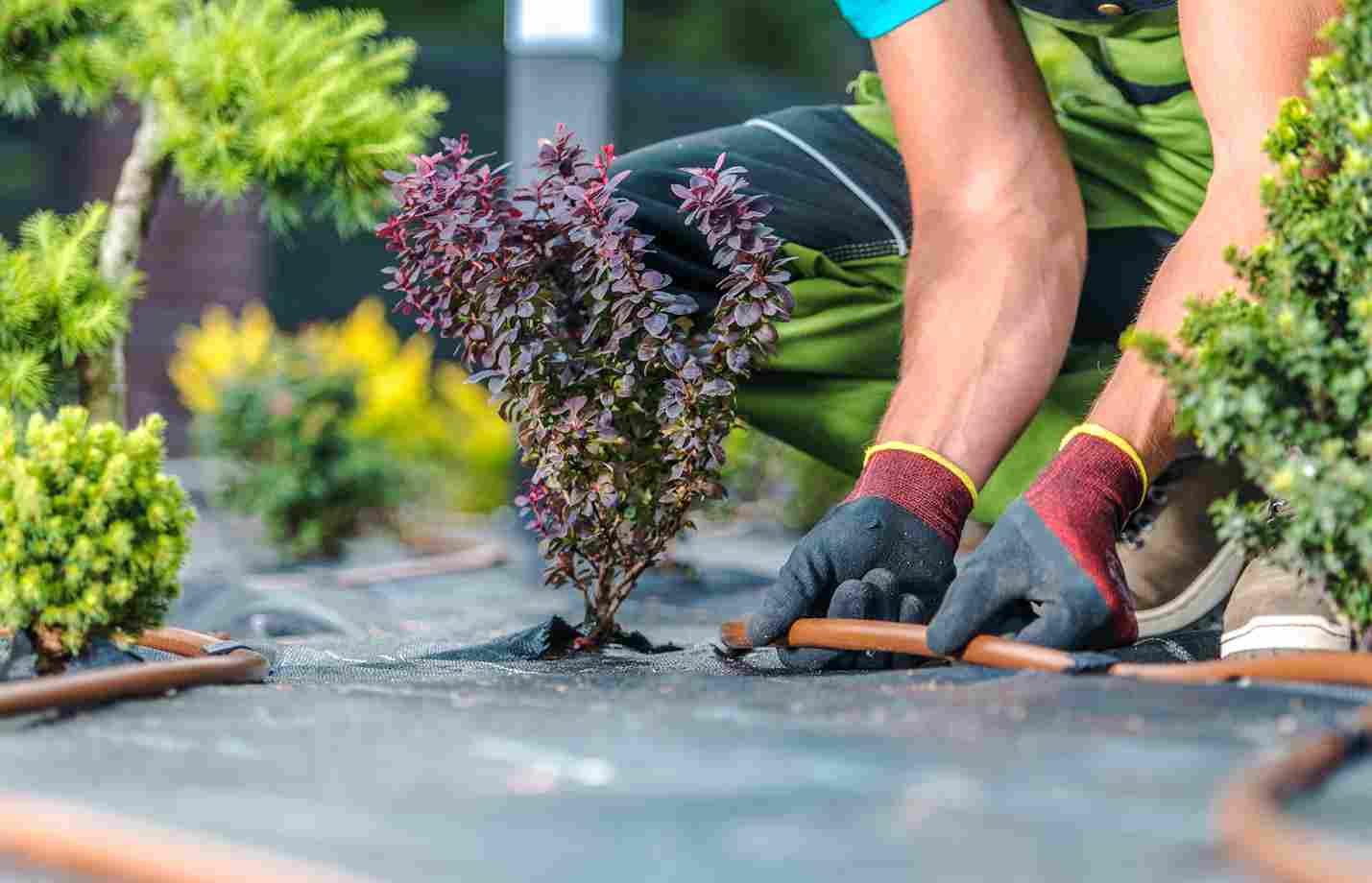 what-is-landscape-maintenance