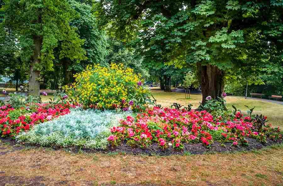 Find out how much garden maintenance costs in Ithaca, what services are included, and what drives pricing on Finger Lakes properties.