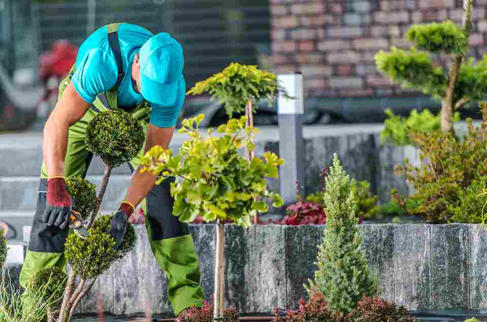 What Ithaca Business Owners Should Know Before Budgeting for Landscaping