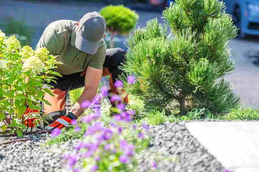 What Ithaca Homeowners Actually Pay for Residential Landscaping