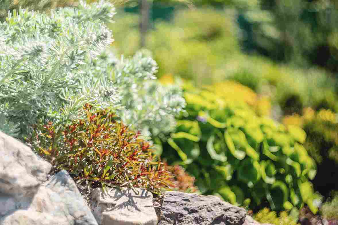 how-much-does-residential-landscaping-cost