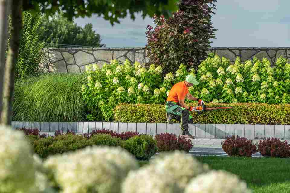 Why Landscape Maintenance in Ithaca Requires More Than a Mowing Schedule