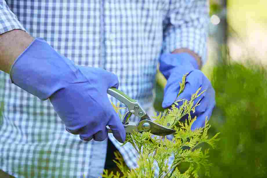 Not sure how often landscaping should happen at your Ithaca home? Here are 5 signs you need more frequent professional service.