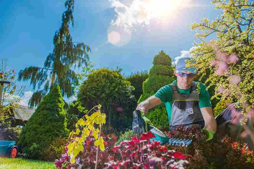 Avoid costly hiring mistakes and find the best commercial landscaping contractor for your Ithaca property with this practical guide.