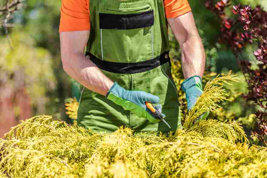 Hourly Landscaping Rates in Ithaca: What the Numbers Actually Mean