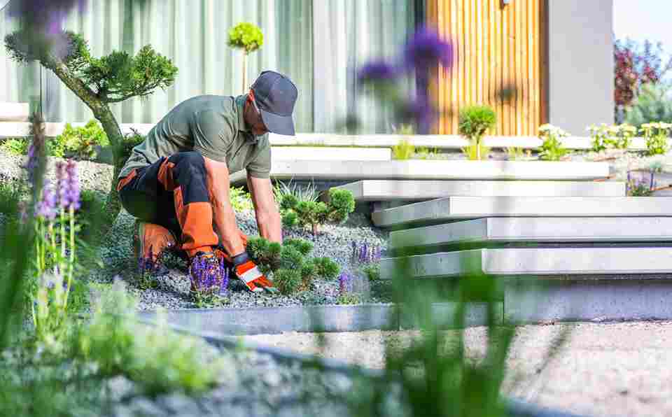 Find out how much residential landscape design costs in Ithaca, what factors affect your budget, and how to plan your outdoor project the right way.