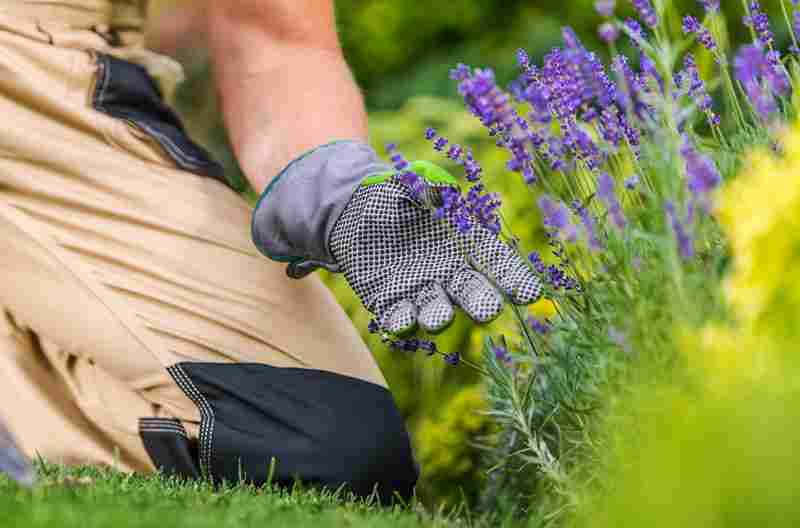 how-much-landscaping-cost-per-square-foot