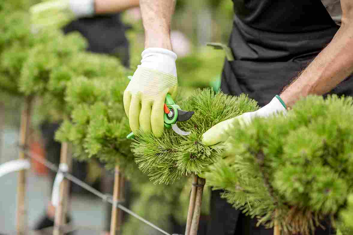 how much landscaping cost