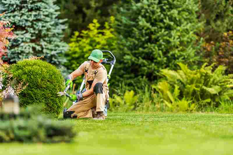 Find out how much residential lawn care costs per month in Ithaca, what a full program includes, and what your turf actually needs.