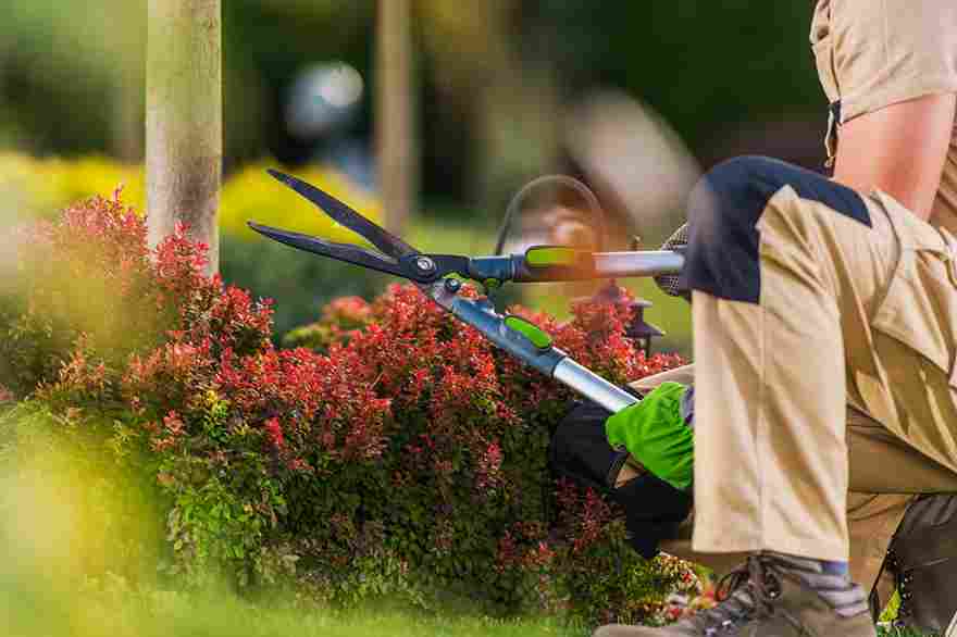 How Much Does Yard Maintenance Cost in Ithaca, NY?