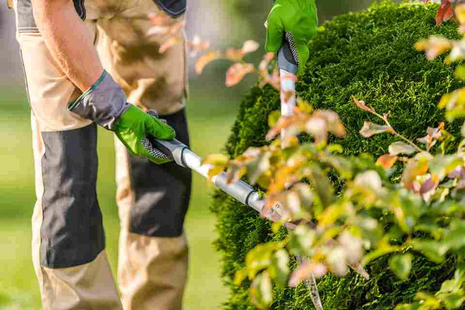 Find out how much garden maintenance costs in Ithaca, what a professional program includes, and whether it is worth the investment for your property.