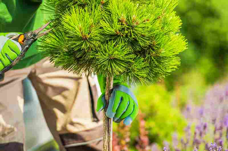 Landscape Design Costs in Ithaca: What You're Paying For and Why It Varies