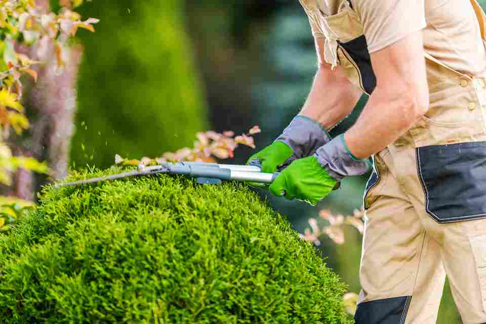 landscaping cost