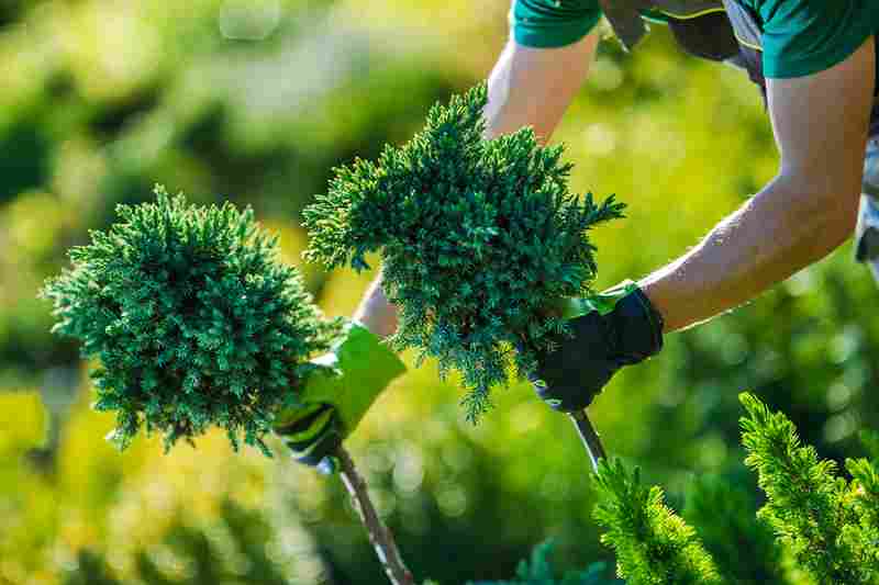 what is residential landscaping