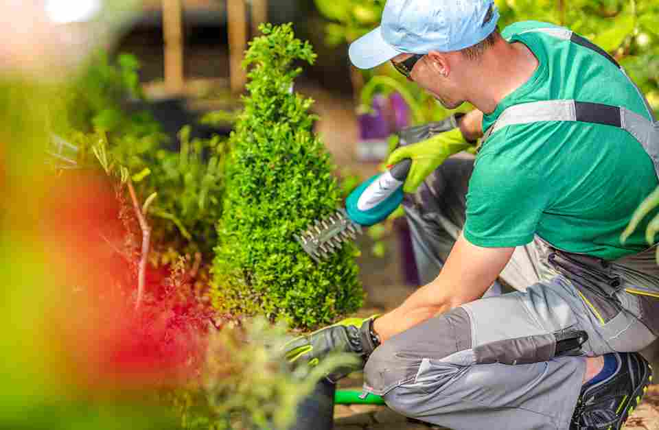 What Do Landscaping Services Do in Ithaca, NY?