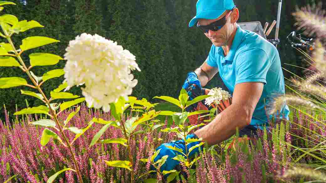 Find out how often you need landscape maintenance in Ithaca and what factors actually determine your property's ideal schedule.