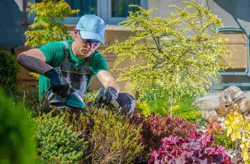 how landscaping services