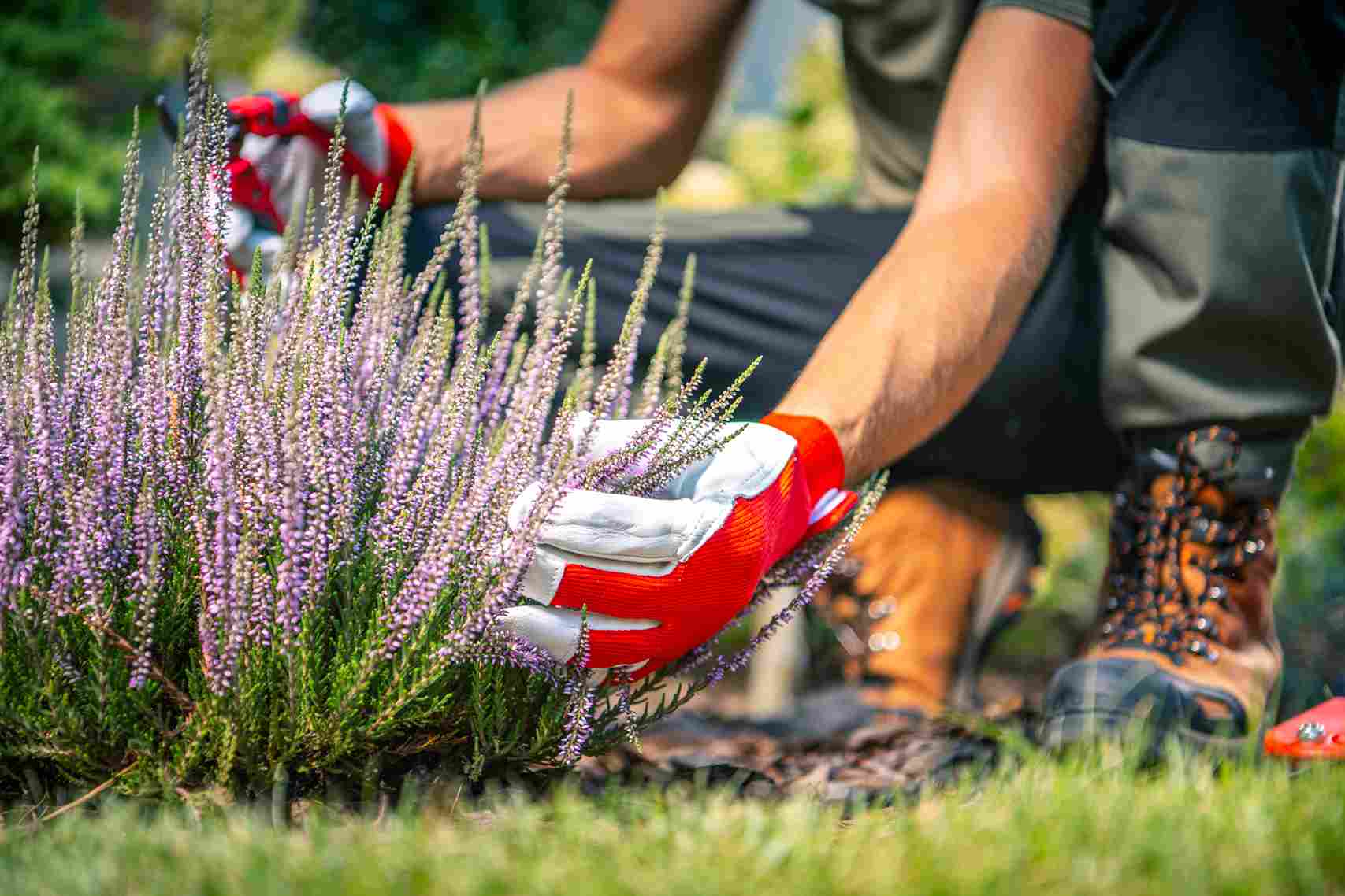 Learn how often garden maintenance should happen in Ithaca's climate and why consistent upkeep protects your landscape investment year-round.