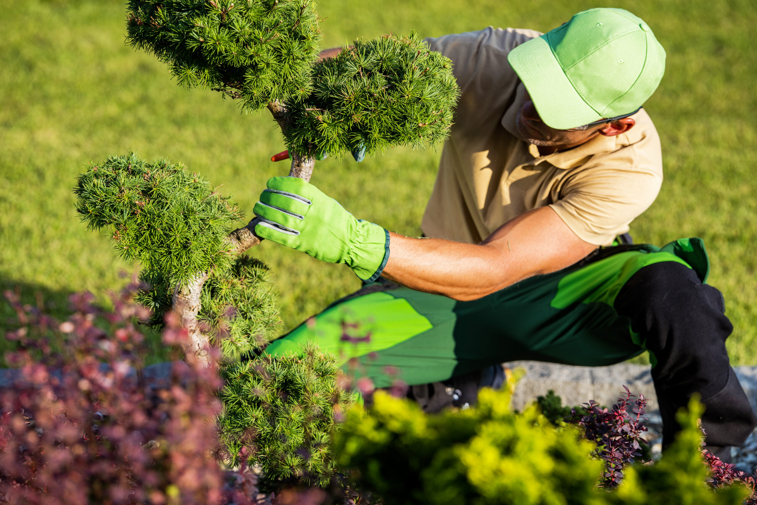 Find out how much landscape design costs in Ithaca, NY, with a full pricing breakdown by scope, property size, and what's included at each tier.