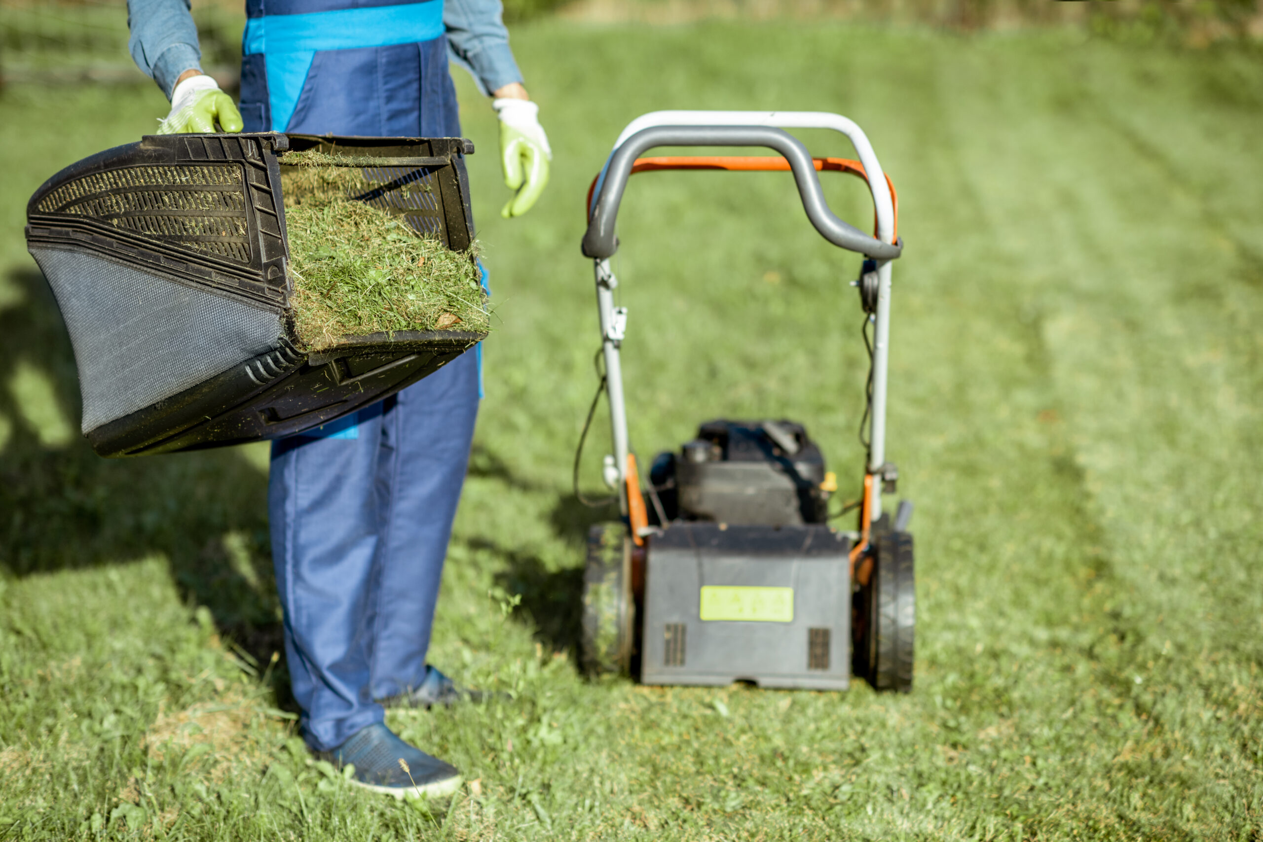 How Much Lawn Maintenance Costs in Ithaca by Season