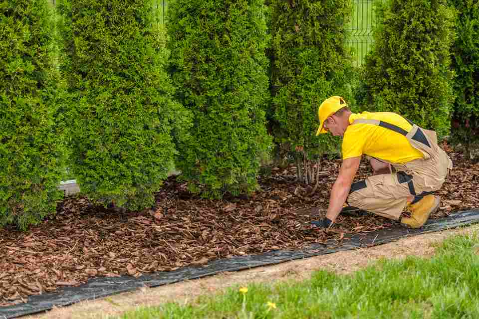 how-much-do-mulching-job-cost
